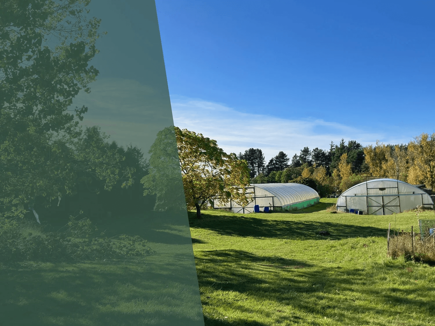 Cullerne Gardens growing area and polytunnels in Findhorn